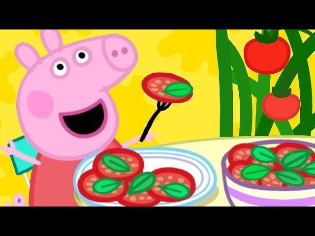 Peppa Pig Nederlands Compilatie Nieuwe Afleveringen  Lunch Met Peppa | Tekenfilm | Peppa de Big