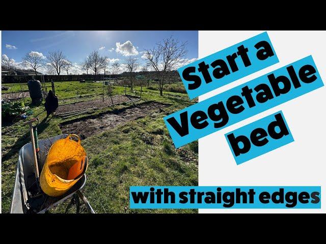 How to start an allotment bed - marking out the bed