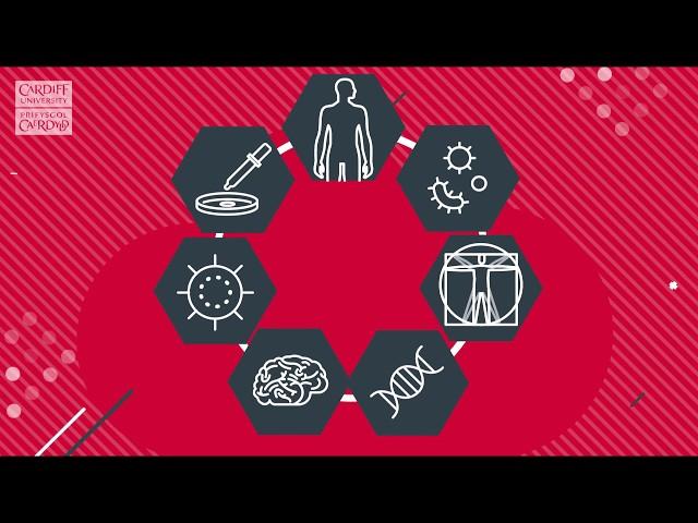 Why study Biomedical Science?