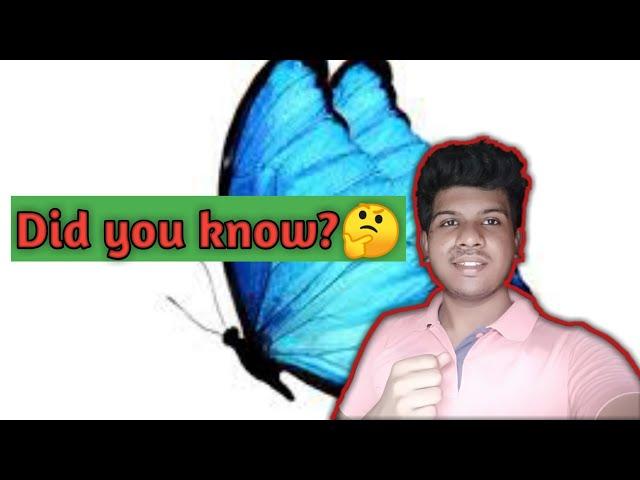 Only 3 colours?|Fact About butterfly |amazing |Pankaj Jadhav|in Hindi| #shorts