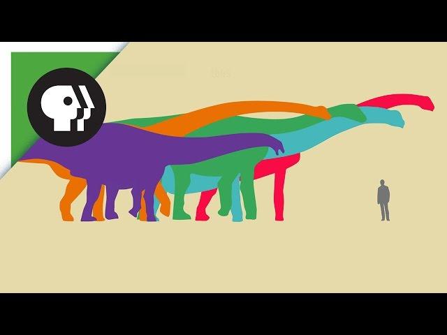 What Was the World's Biggest Dinosaur?