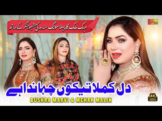 Dil Kamla | Bushra Marvi & Mehak Malik | Official Video Song | Shaheen Production 2025