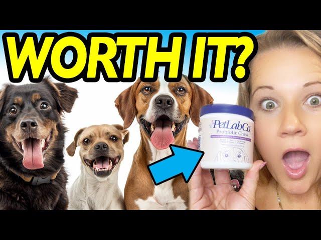 The Truth About Trying Petlab CO’s Viral Probiotic Chews For Dogs