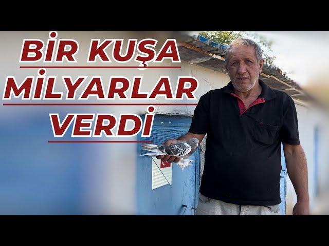 BİR GÜVERCİNE MİLYARLAR VERDİ - ADLİYECİ ŞENOL KÜMES ZİYARETİ OYUNKUŞU UÇUMU