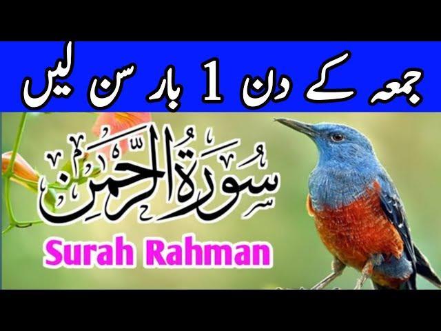 سورة الرحمٰن ||Surah Rahman beautiful recitation