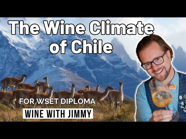 Exploring Chile’s Wine Climate and Geography  | WSET Level 4 (Diploma)