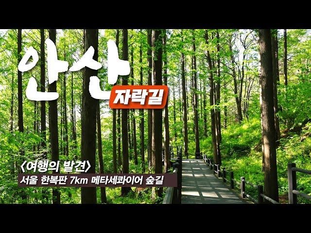 Incredibly beautiful forest trail trekking in the heart of Seoul - with google map