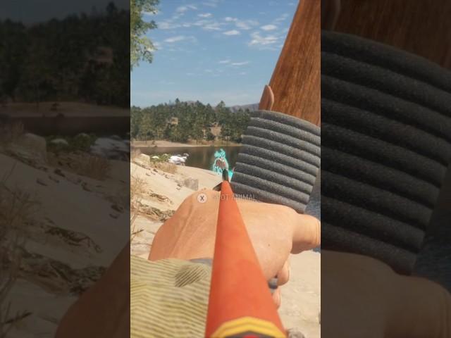 He would've been a nice gold, too  #shorts #cotw #gaming #bowhunting