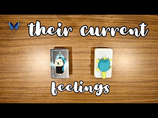  THEIR CURRENT  FEELINGS   Timeless Tarot Reading 