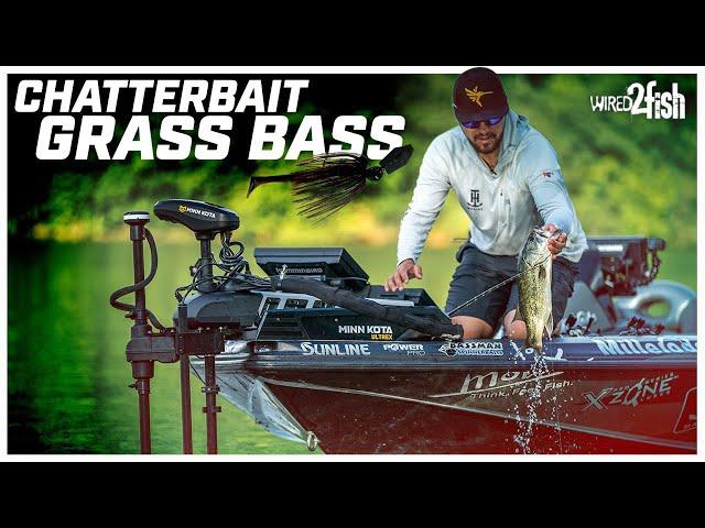 How to Find and Catch Grass Bass with ChatterBaits