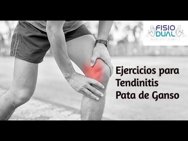 Ejercicios para TENDINITIS PATA DE GANSO