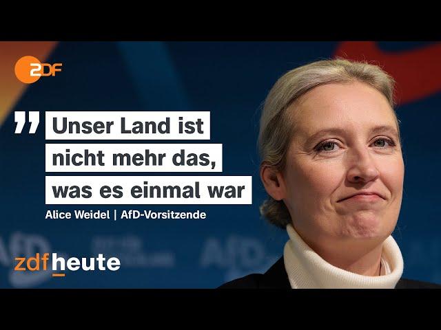 Die AfD und ihre Außenpolitik | Berlin direkt