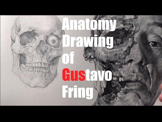 Watch a Skull Morph into Breaking Bad's Gus Fring | Realistic Anatomy Drawing