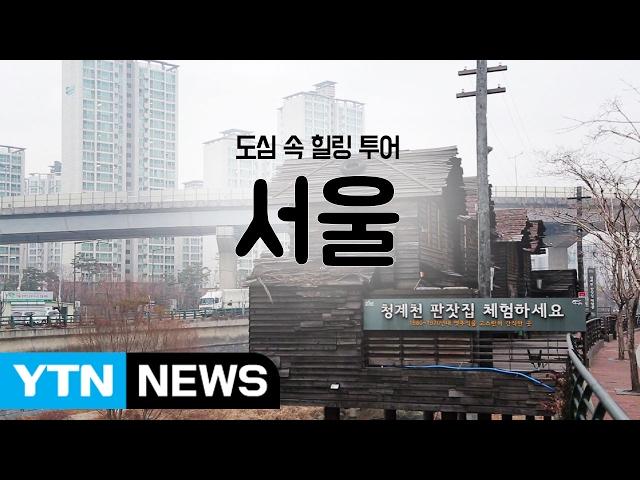 [YTN 구석구석 코리아] 제23회 도심 속 힐링 투어, 서울 / YTN (Yes! Top News)