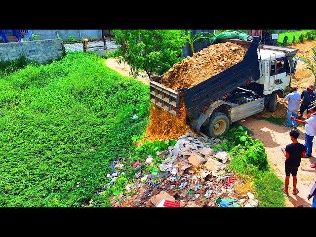 New Project !! Landfill up in Flooded areas!! Bulldozer D20A & Truck 5T Pushing Soil Into water