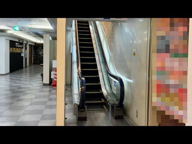 Lapis Totsuka 2 Escalators up [Hitachi]