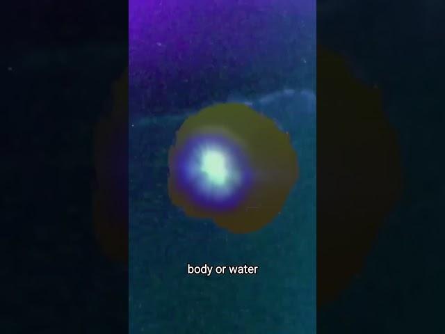 Sonoluminescence a Star in a Jar #chakras #meditation #healingfrequencies #secret #science #tesla
