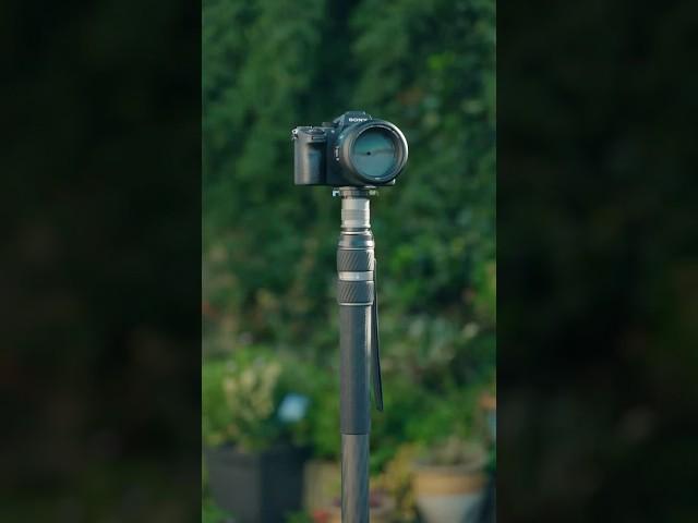 Unleash The Power Of The Sirui SVM Monopod - A Must-have!