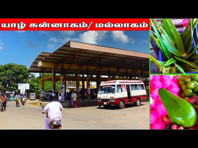 சுன்னாகம் Jaffna Chunnakam Town  | Sri Lanka traveler Tamil Vlog