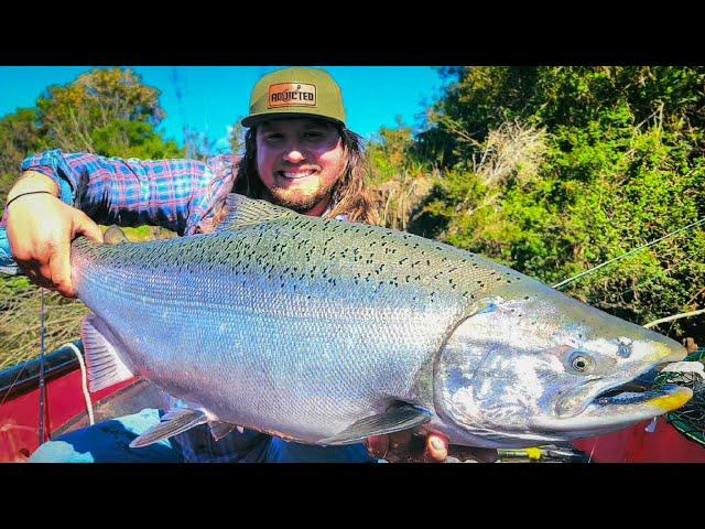 WORLD RECORD King Salmon Exist! - Chile Chronicles Part 2 (Official Short Film)