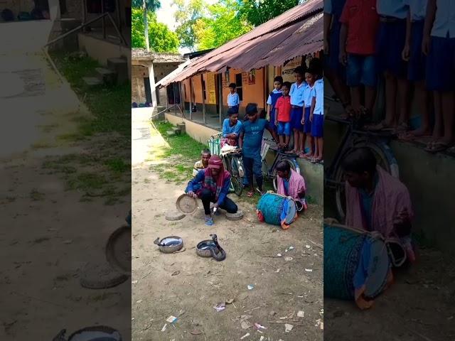 king cobra played by snack charmer #streetperformers #nagin #shorts #yt ll ICM Entertainment YouTube