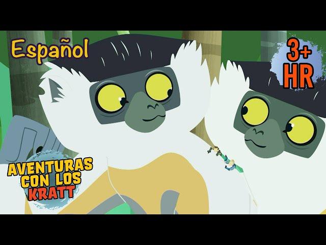 Lo Mejor de Madagascar | Lémures y más Animales | Aventuras con los Kratt