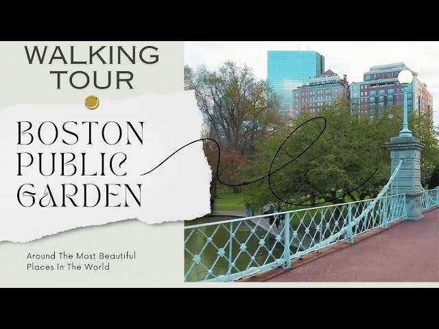 Boston Spring Stroll: Public Garden & Newbury Street Walking Tour