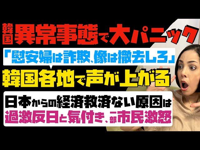 【韓国、異常事態で大パニック】「慰安婦は詐欺、像は撤去しろ」と韓国各地で声が上がる！日本からの経済救済ない原因は過激反日と気付き、一部市民激怒か…