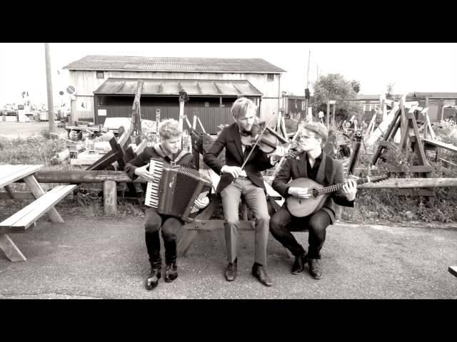 Dreamers' Circus Tønder Festival promo video