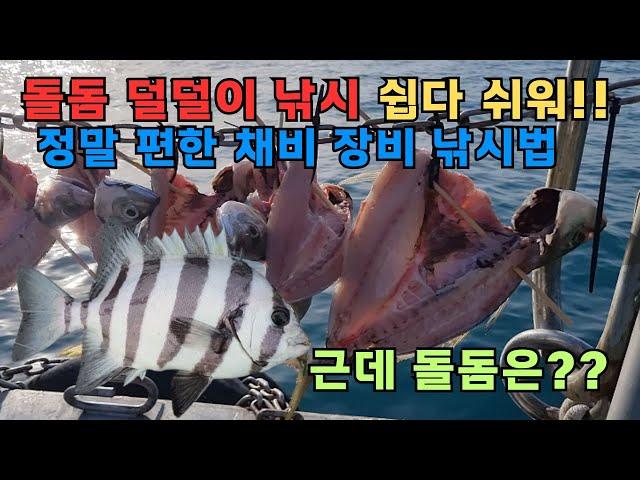 돌돔 덜덜이 낚시 초보도 엄청 쉽네!! 고흥 겨울 낚시 돌돔 어딧을까?