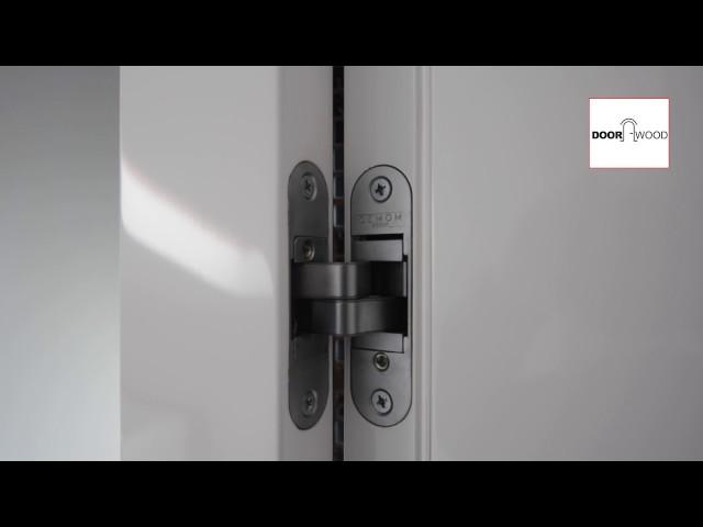Hidden loops for interior doors, is it worth overpaying?