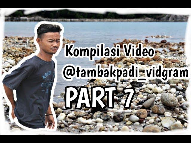 KOMPILASI VIDEO TAMBAK PADI VIDGRAM PART 7