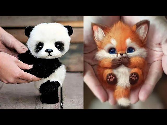 10 Cutest Baby Animals That Will Make You Go Aww