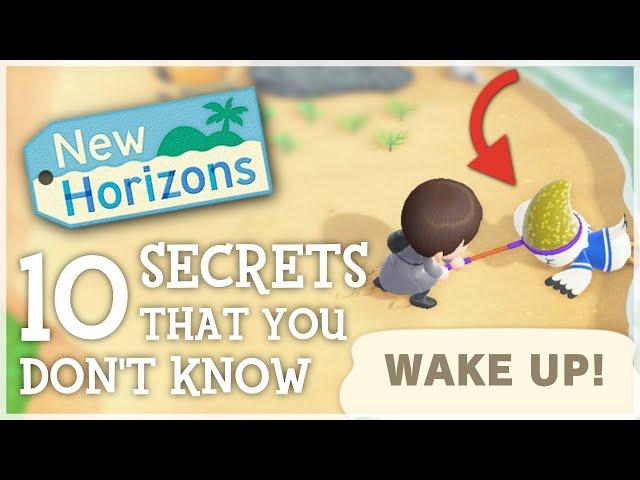 10 SECRETS You STILL Don't Know (ACNH Hidden Details) - Animal Crossing New Horizons