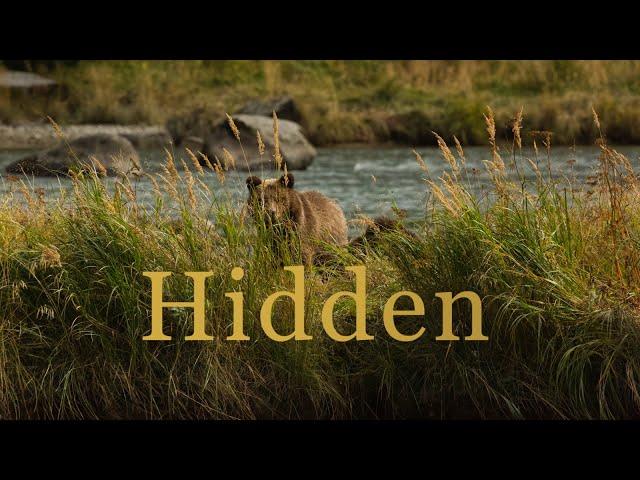 Hidden