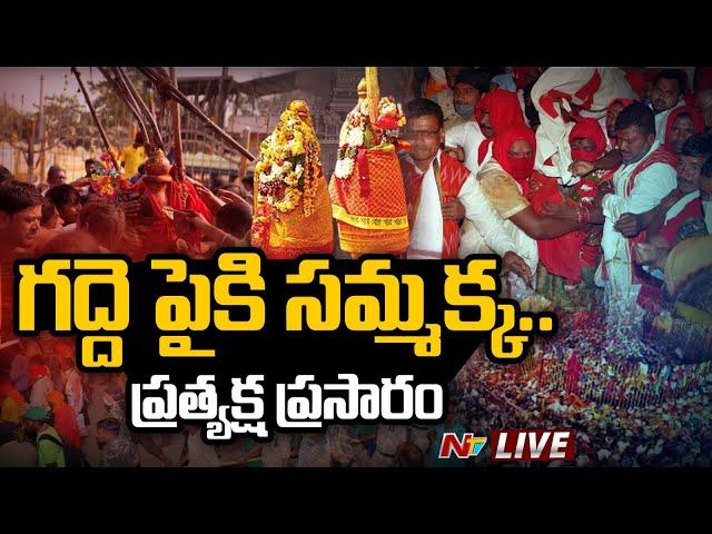 Sammakka Sarakka Jatara 2024 Live | మేడారం జాతర 2024 LIVE | NTV