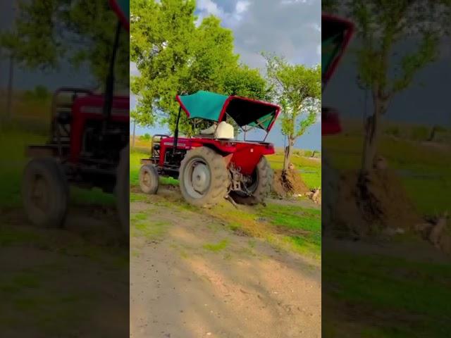 #tatar #tatarvideo #shorts #viral #massey #masseyvideo #masseylover #jat #jaat #jaat jamidar