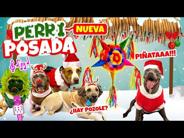 NUEVA PERRI POSADA OSO PIÑATERO🪅KARAOKE PERRUNO ¡CON MI PERRITO SABANERO!  | Conny Merlin