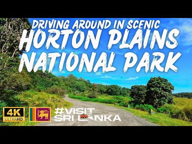 Driving from Horton Plains to Nuwara Eliya | හෝටන් තැන්න | ஹோட்டன் சமவெளி