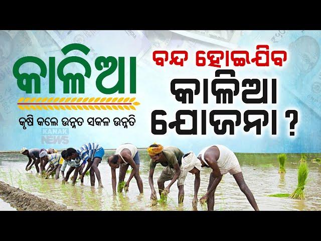 Will KALIA Scheme For Farmers Continue In Odisha?