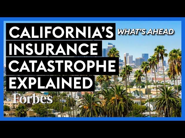 California's Insurance Catastrophe Explained—How Government Caused Another Crisis | What's Ahead