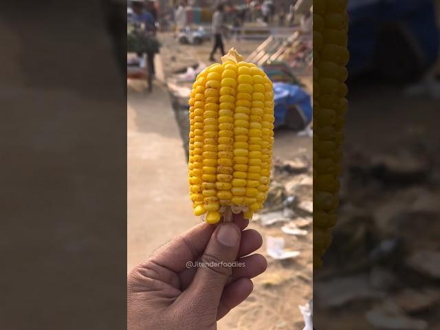 pushkar Mela Sweet Corn | pushkar famous food | pushkar famous street food | Jitender Foodies