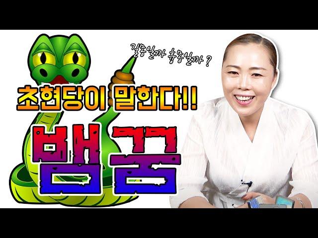 ▶ 사람들이 제일 많이 물어보는 [뱀꿈] ▶ 뱀꿈에 대한 총정리 흉몽 길몽 태몽