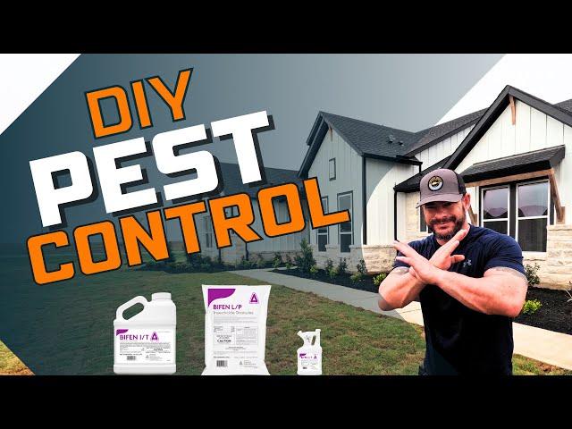 DIY Pest Control: Easy Home Protection Tips