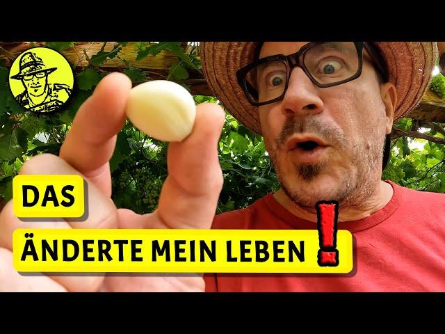 Selbstversorgung mit Knoblauch aus dem Garten | Messerschärfer 100 Jahre alt