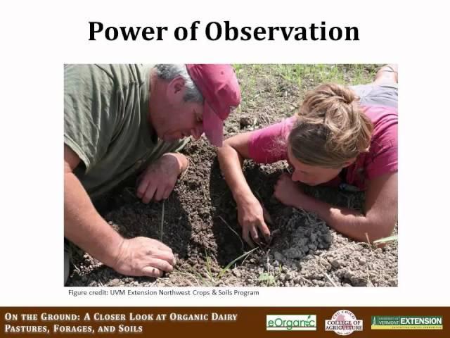 eOrganic Dairy Course: On the Ground. Introduction to Module 2: Building Better Soils.