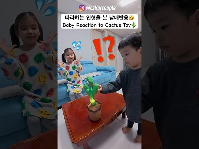 말하는 선인장을 처음 본 남매반응ㅋㅋㅋ #shorts