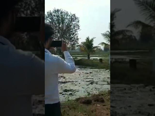 Drone | Spray of nano urea