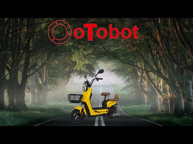 SPECIAL EDITION SEPEDA LISTRIK OTOBOT T205 BY PACIFIC E-BIKE