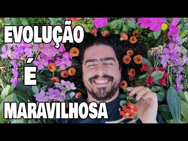 POR QUE ACHAMOS FLORES TÃO BONITAS? (#Pirula 384)